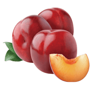 نهال آلو بخارا قرمز