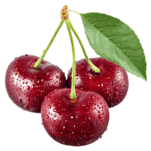 نهال آلبالو گوشواره ای