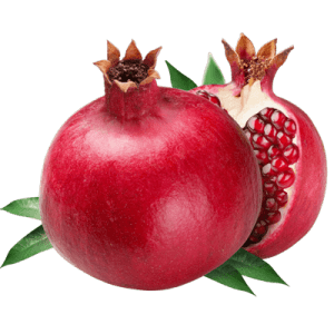 نهال انار شیراز