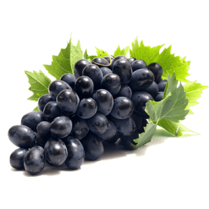 نهال انگور بلک ویلیام