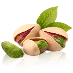 نهال پسته خنجری دامغان