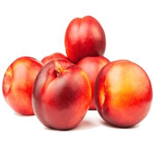 نهال شلیل قرمز بهاره