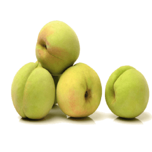 نهال شلیل سبز