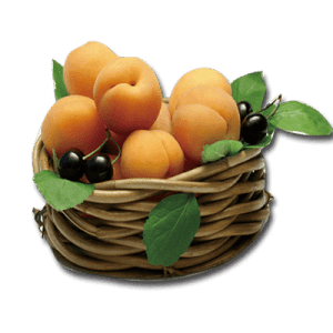 zardalo rajabali min