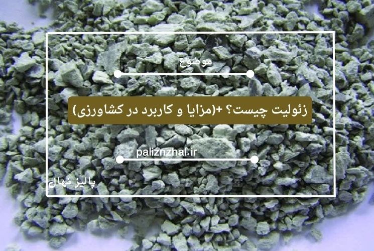زئولیت چیست؟ +(مزایا و کاربرد در کشاورزی)