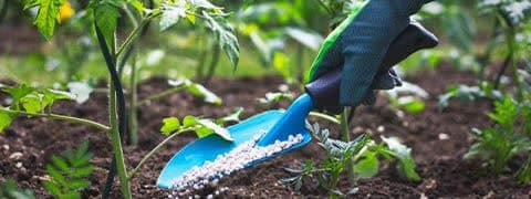 نحوه استفاده از زئولیت در کشاورزی