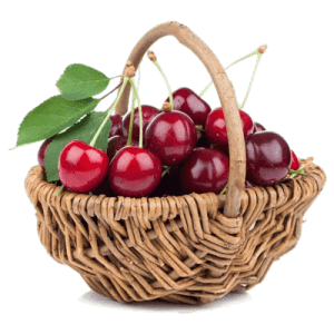 نهال آلبالو فرنگی