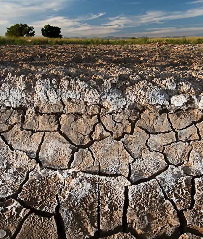 راهکارهای مدیریت تنش شوری در باغات بادام