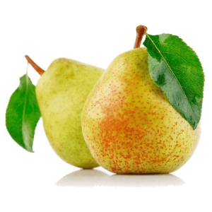 نهال گلابی درگزی