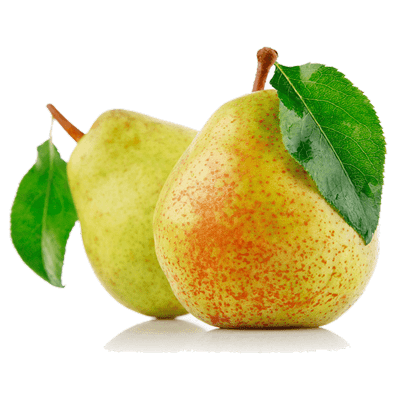 نهال گلابی درگزی