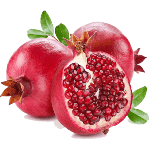 نهال انار ژله ای