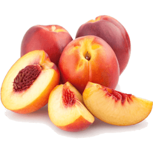 نهال شلیل شبرنگ