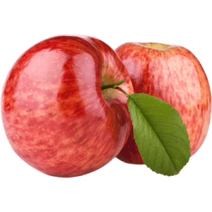 نهال سیب فوجی