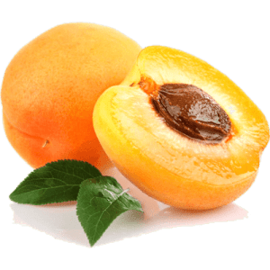 نهال زردآلو نصیری