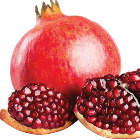 نهال انار ساوه