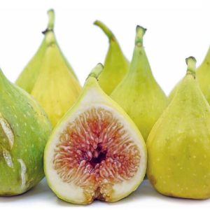 نهال انجیر گلابی