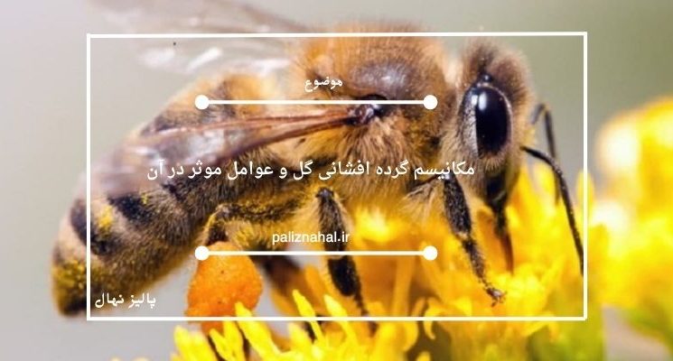 مکانیسم گرده افشانی گل و عوامل موثر در آن