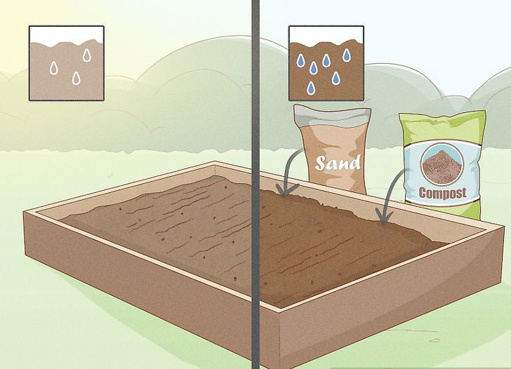 قبل از کاشت درخت انگور، خاک باغچه را آماده کنید