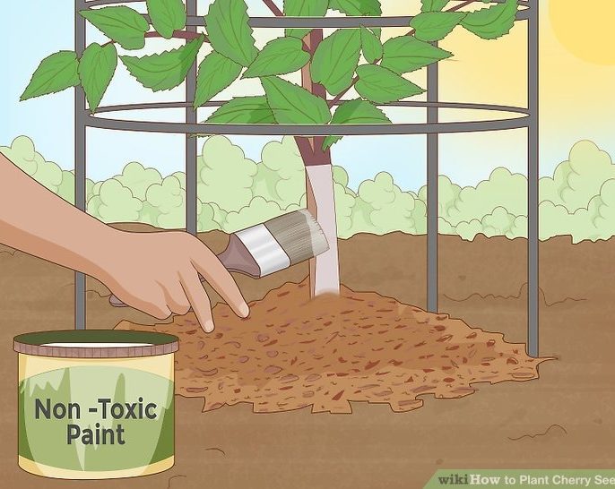 درخت را با رنگ پلاستیک سفید رقیق و غیر سمی رنگ کنید!