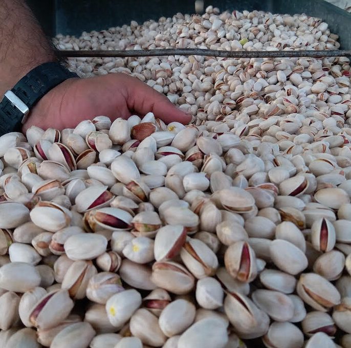 نکات تکمیلی برای باغداران