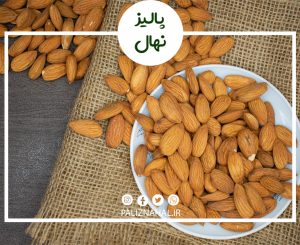 خواص جادویی بادام درختی برای سلامتی