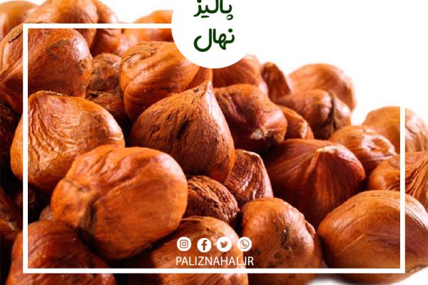 نحوه آبیاری درخت فندق به چه صورت است؟
