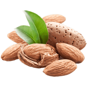 نهال بادام مامایی