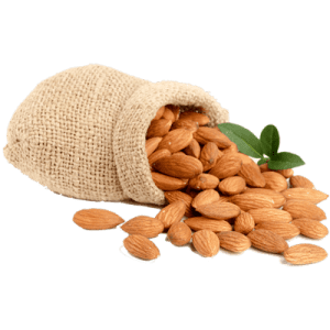 نهال بادام شمشیری