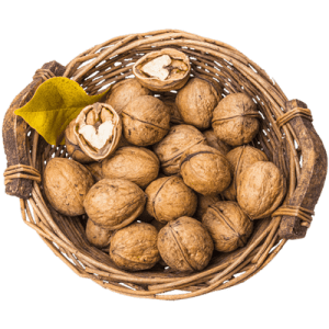 خرید نهال گردو کاما