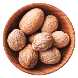 خرید نهال گردو هارتلی