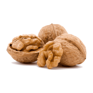 خرید نهال گردو جمال