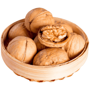 خرید نهال گردو پدرو