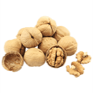 خرید نهال گردو شیلی