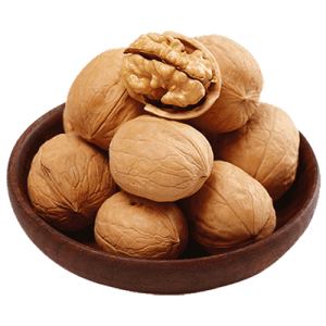 خرید نهال گردو وینا