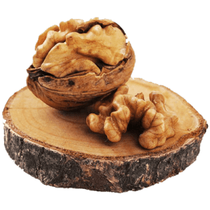 خرید نهال گردو فرنت