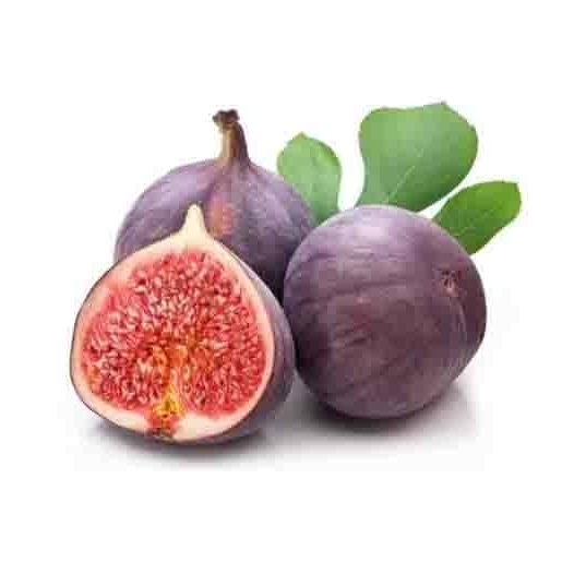 نهال انجیر قهوه ای