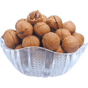 خرید نهال گردو یالووا