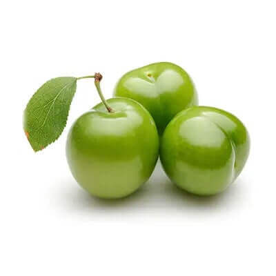 نهال گوجه سبز ملایر