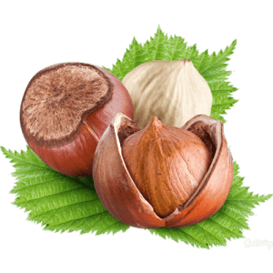 نهال فندق باتلر  