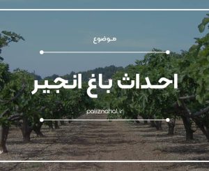 احداث باغ انجیر