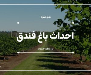 احداث باغ فندق