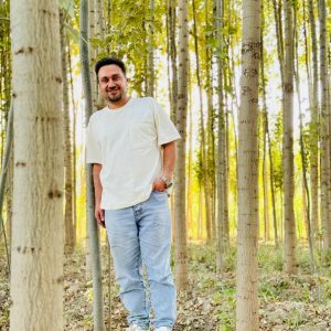 نهال صنوبر نیگرا: خرید با قیمت مناسب 1403+ مشخصات