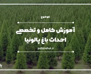 احداث باغ پالونیا11