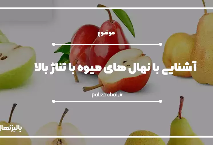 تناژ میوه‌‌