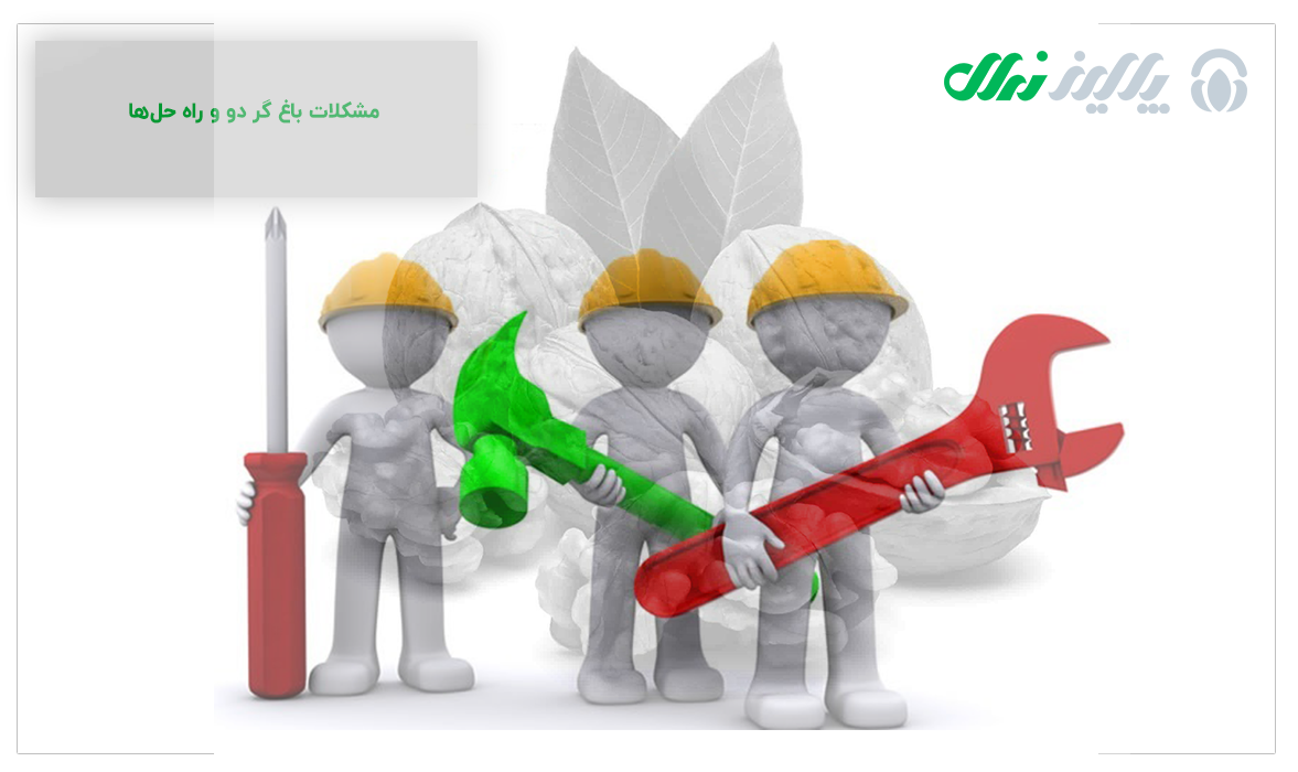 مشکلات باغ گردو