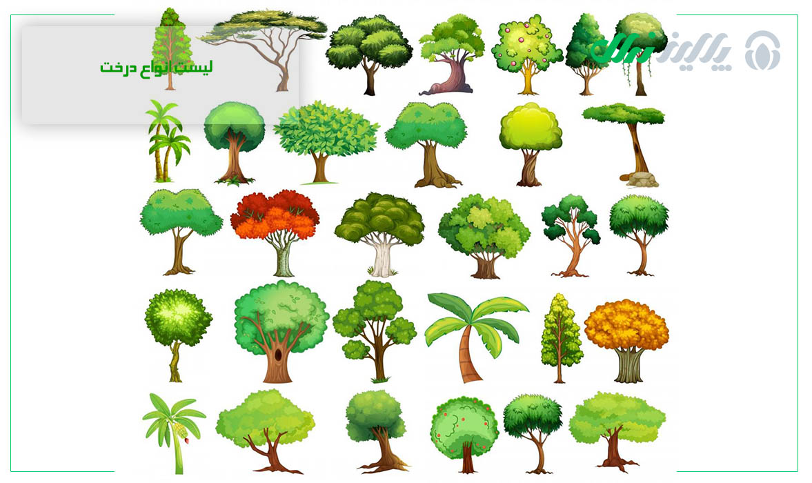 لیست انواع درخت