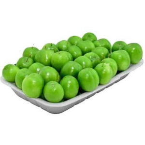 نهال آلوچه مراغه