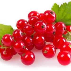 انگور رد کارنت