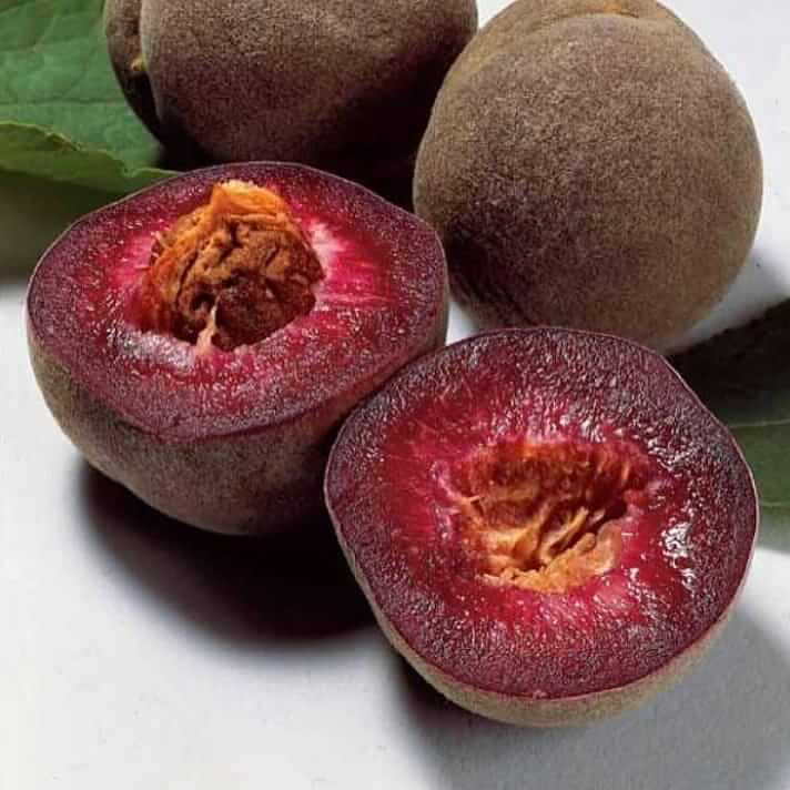 نهال هلو خونی