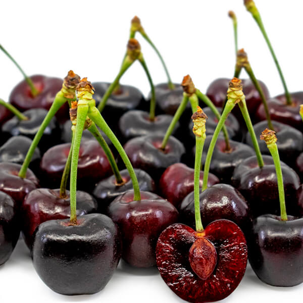 نهال گیلاس تکدانه